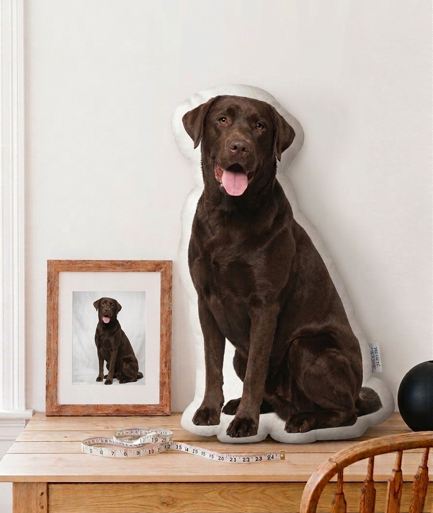 Chocolate Labrador sitting on a large dog-shaped pillow with a framed photo of a dog in the background.